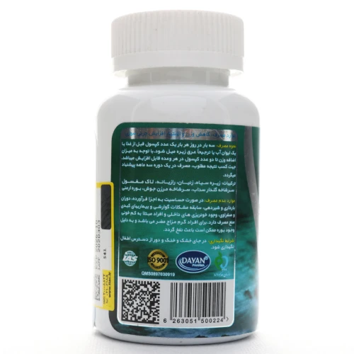 کپسول دایان فیت دایان فارما - Image 2