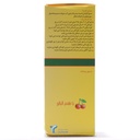 شربت تی سیپان تهران شیمی 100 میلی لیتر - Image 1