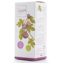 شربت فیژیتول دارو درمان پارس - Image 2